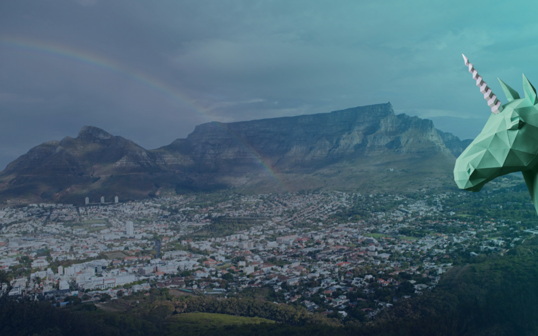 Why Fractional CMOs and South African Talent Are the Secret to Smarter Marketing
